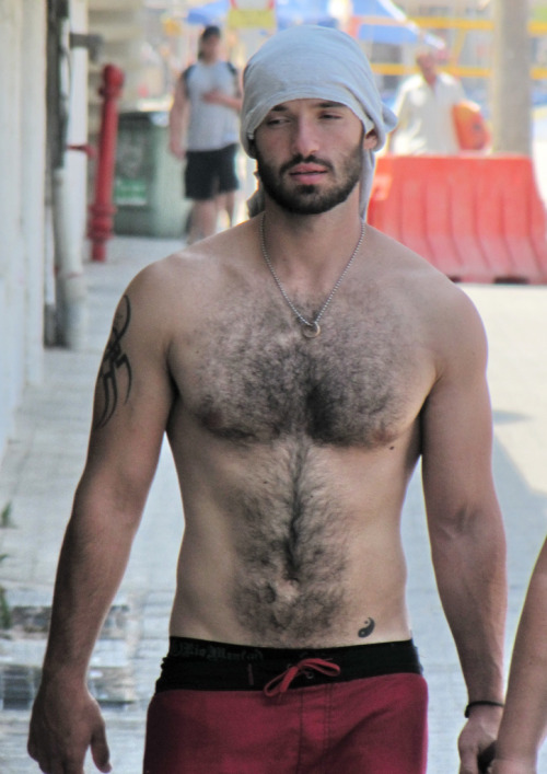 Hairy on Holiday