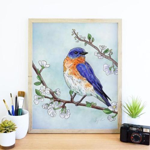 Eastern Bluebird Art Print //MountainBirdStudio