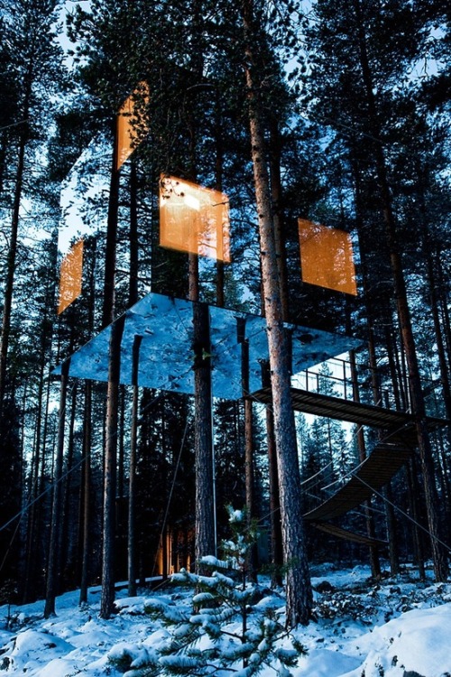 uniqueshomedesign: Unique Tree Hotel, Sweden charisma design