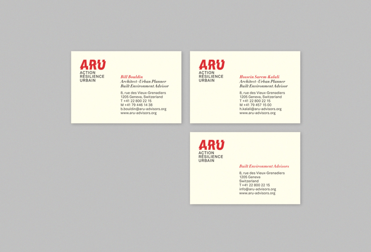 ARU - Visual Identity, Logo, Business Card and Website Design, Daria Mechkat, Momodata 2015