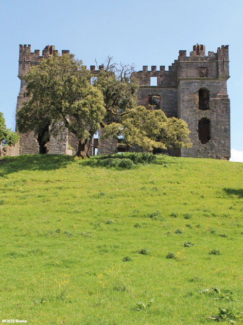 gnossienne:The Irish Aesthete: Ruins of Ireland, by Robert O'Byrne