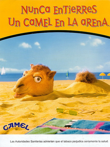 So i found a Mexican (i think?) Camel ad campaign that was really cute. I wish there