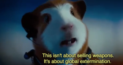 snakegay:the feeling of seeing a cg guinea pig saying these words is indescribable