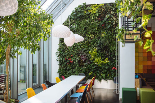 interior3000: plantsrooms: Skyscanner’s Budapest Office https://edition3000.com/ ))))))) see more on