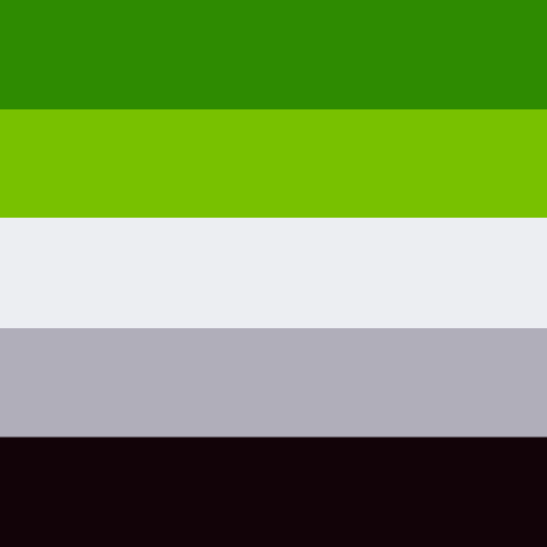 Aro flag but it’s color-picked from the Hero of Hyrule (The Legend of Zelda).