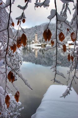 bluepueblo:  Winter, Lake Bohinj, Slovenia