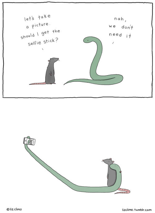 theoriginalpompeii:awesome-picz:Awkward Everyday Lives Of Animals By Simpsons Illustrator Liz ClimoT