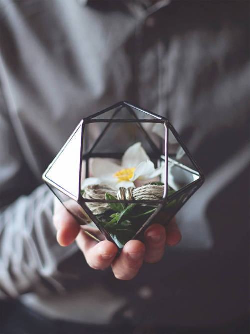 culturenlifestyle:Unique Handmade Geometric Glass Terrariums by Murat Ozsaltik Designer Murat Ozsaltik from Waen creates contemporary geometric terrariums. The terrariums are handcrafted with clean glass cutouts framed by metal then put together in