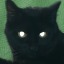 catboizx3