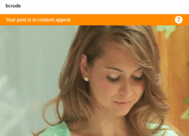Incredible! This image was flagged by Tumblr!I appealed and won, but this is beyond stupid.