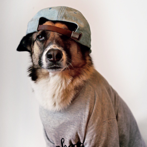 muttonheadstore:shop mutt lily rocking that sunday steeze 