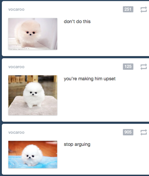 vocaroo:how to stop tumblr drama: a guide by me ft. pomeranian 