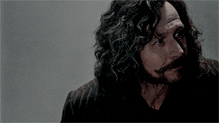 thominho:  hp meme: [3/9] characterssirius black: we’ve all got both light and