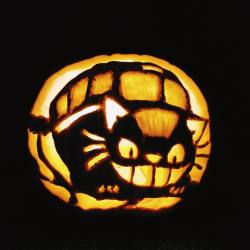 nikoniko808:  #nekobus for #halloween competition (ye we won)