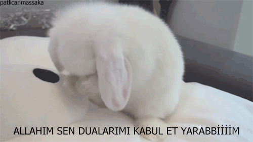 EZGİ