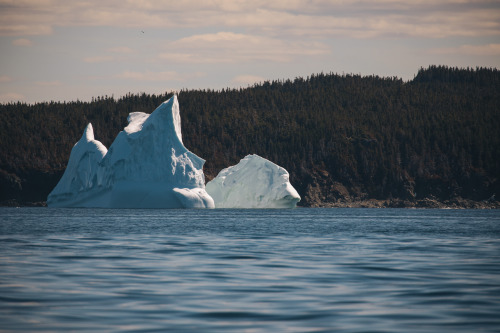 The beauty of Newfoundland and Labrador - may 2019