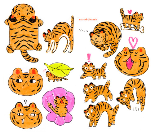 maruti-bitamin: Tigers 