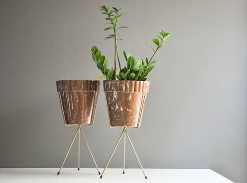 Brass Tripod Plant Stand // thewhitepepper