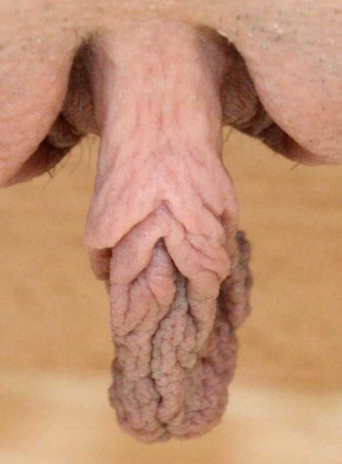 https://readyforyou6969.tumblr.com/post/168362086685