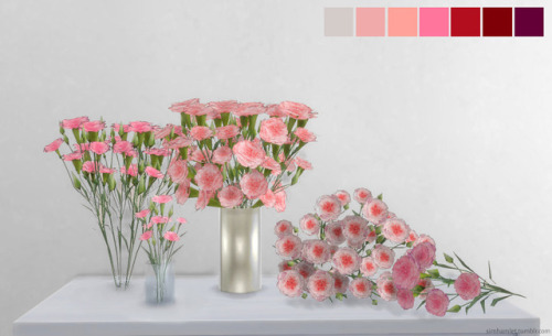 Carnation SetWarning: High PolyDropbox download:Carnations Gold Vase ( (4755 LOD0) Carnations Depott