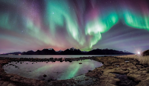 yourbffjosh:  Solar Artistry By Trichardsen