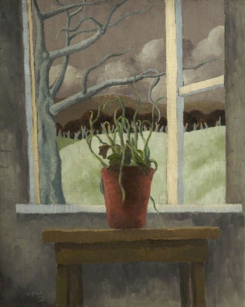 W. G. Poole - Plant against a Winter Landscape. 1938. Oil on canvas.