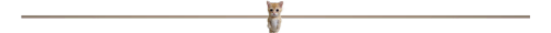 PART THREE : Bunny? No Cat? Yes