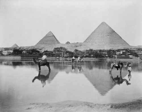 Men and camels in shallow flood water with pyramids in background, c.1890