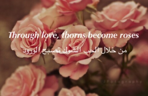 brokenandstillbeautiful:  &ldquo;Through love, thorns become roses&rdquo;