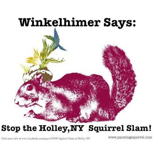 This mess is going on tomorrow Feb 28th :(
#stopthesquirrelslam @winkelhimer and I really appreciate it if you guys share this around. Myself and a few other squirrel parents and squirrel lovers,ate trying to put a end to the Holley,ny “squirrel...