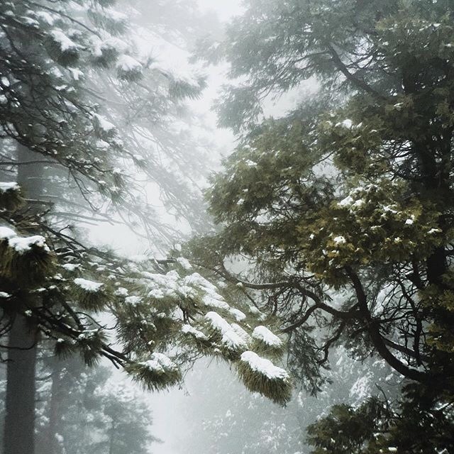 delta-breezes:  Katch Silva 