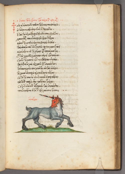 houghtonlib: Phile, Manuel, 1275-approximately 1345. Stichoi peri zōōn idiotētos : manuscript, 1565.