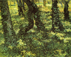 artist-vangogh:  Trunks of Trees with Ivy, Vincent van GoghMedium: oil,canvashttps://www.wikiart.org/en/vincent-van-gogh/trunks-of-trees-with-ivy-1889
