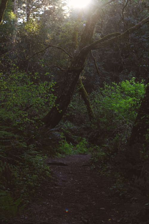 predictablytypical: Exploring at dusk