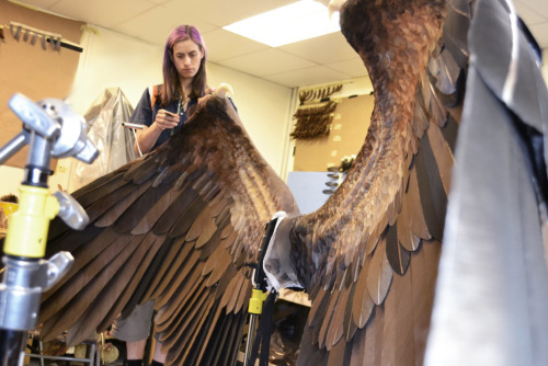 key-feathers:  Practical wings created as a starting point for the CGI ones on Maleficent!  I want to try and create a pair of wings of this size (personal project ;) ) These photos are a great inspiration! Source: http://disney.wikia.com/   wait wait