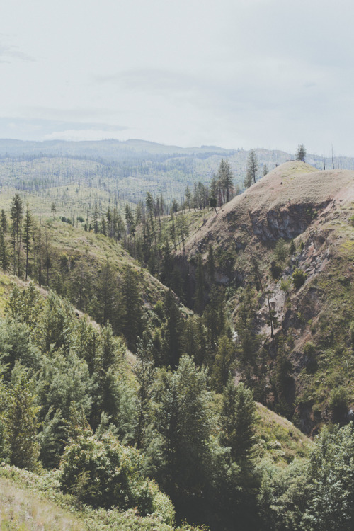 man-and-camera:  Upper Canyon Falls III ➾ Luke Gram 