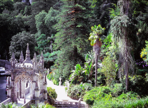 Sintra, Portugal.Mamiya 645 + Fuji Velvia