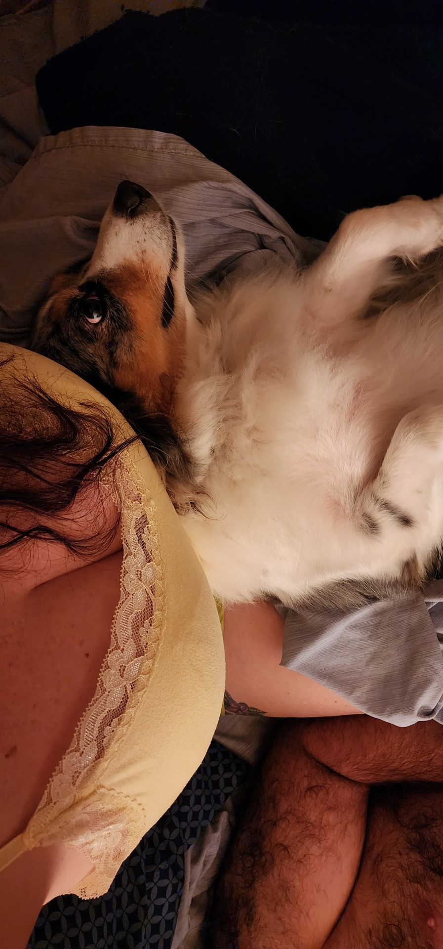 #nighttimecuddles #biaslife