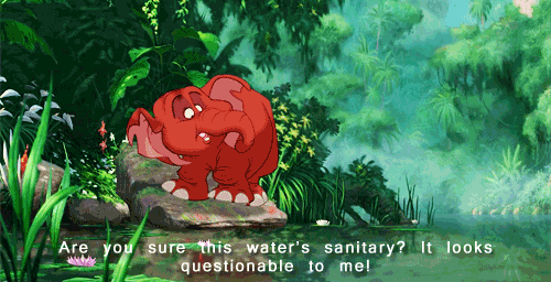 The Disney Posts
