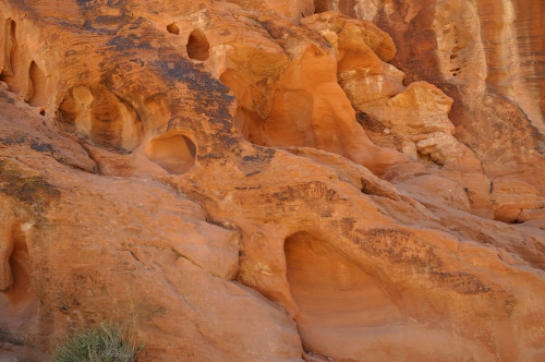 ancientart:The focus of today shall be: the Mouse Tank Petroglyphs of the Valley of Fire State Park,