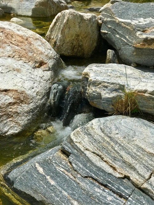 thelostcanyon:Catalina banded gneiss, a type of metamorphic rock, in the stream bed of Soldier Canyo