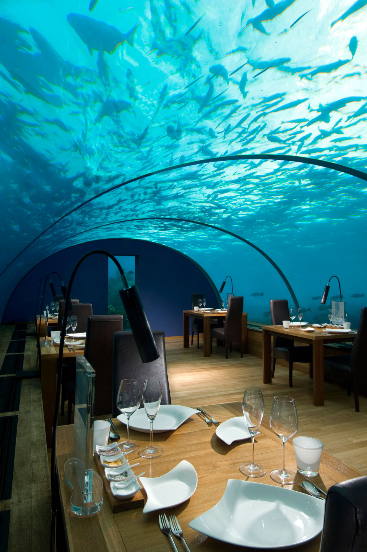travelgurus:    Amazing Underwater Restaurant at Conrad Maldives Rangali Resort
