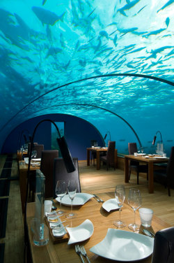 travelgurus:    Amazing Underwater Restaurant