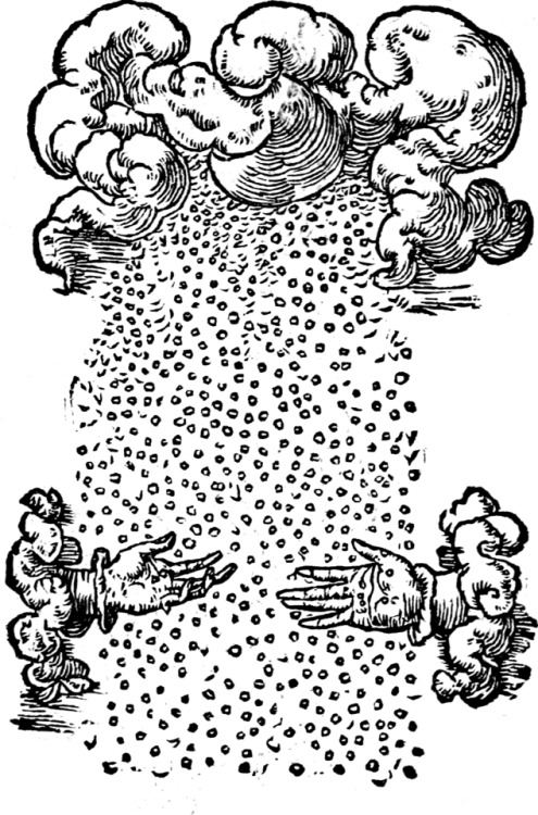 deathandmysticism:Claude Paradin, Devises Heroïqves, 1557