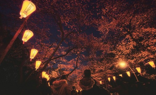 trentatregiri:Tokyo di notte.