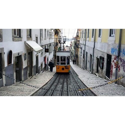 Porn wheredoyoutravel:  Lisbon is beautiful and photos