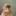 onehandedly:goldentangerines:goldentangerines:every now and then i have to think