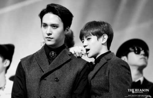 비스트