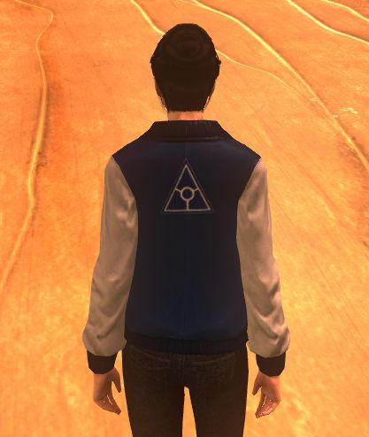 Faction Varsity jacket