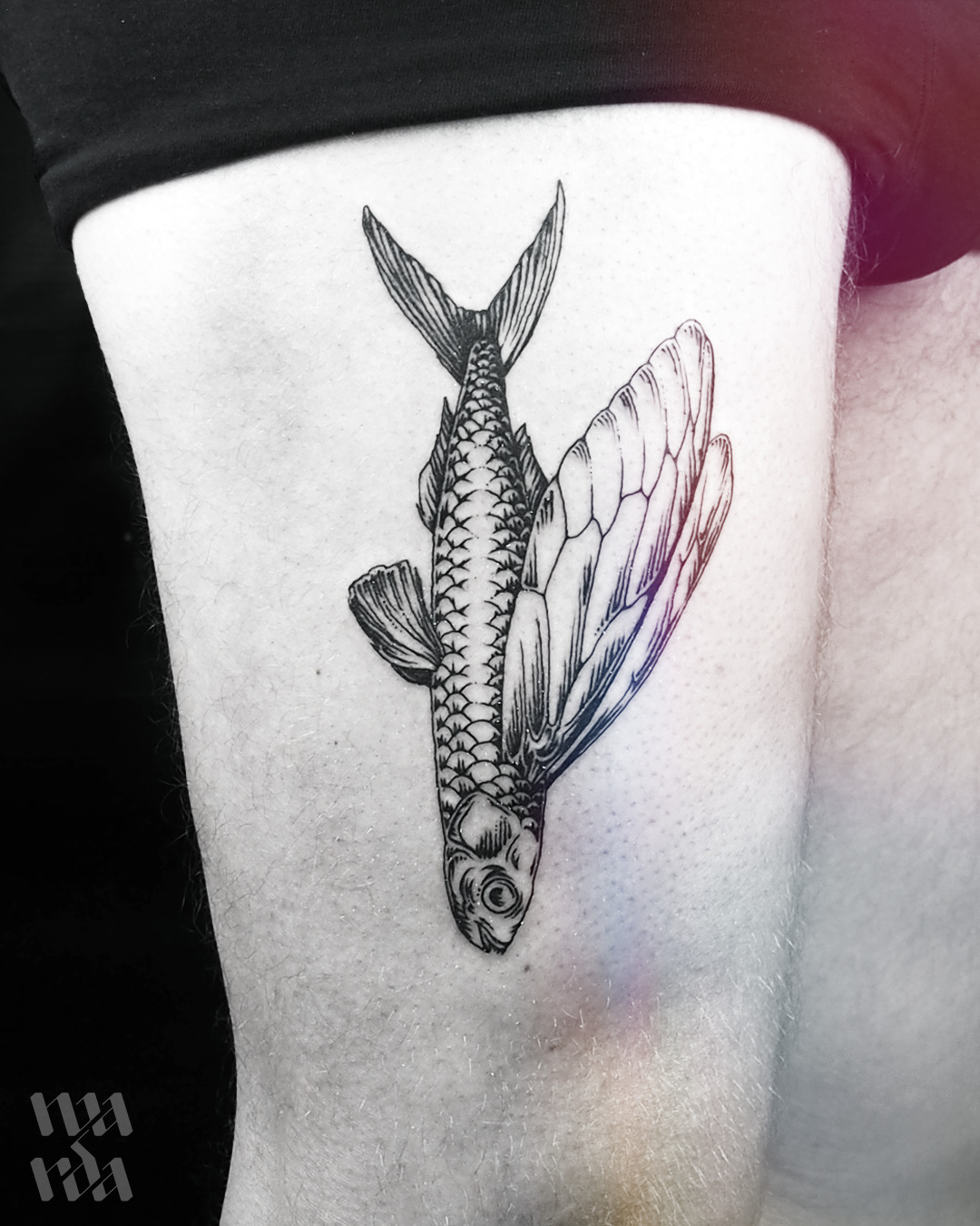 Did this super cool flying fish for  BurdxTurd Tattoo  Facebook